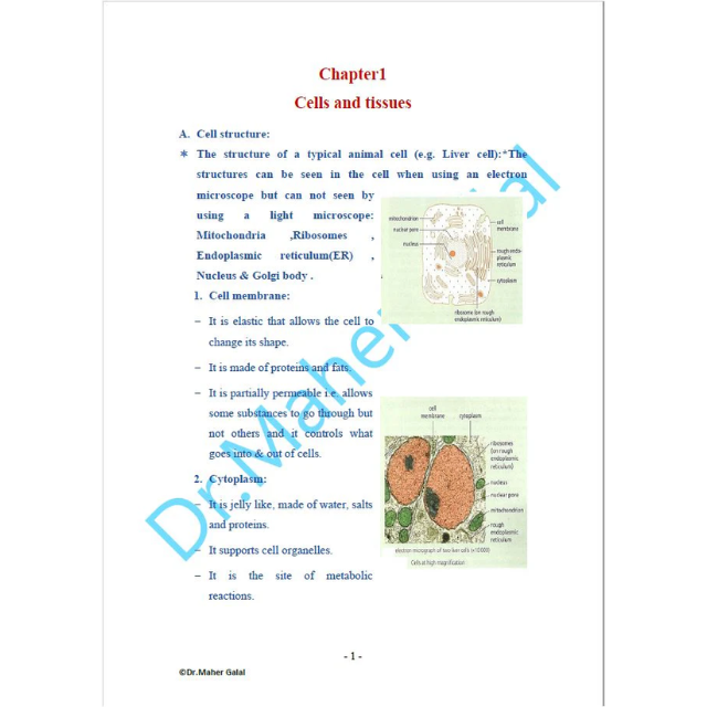 Edexcel O.L Human Biology (4HB1) Notes Maher Galal